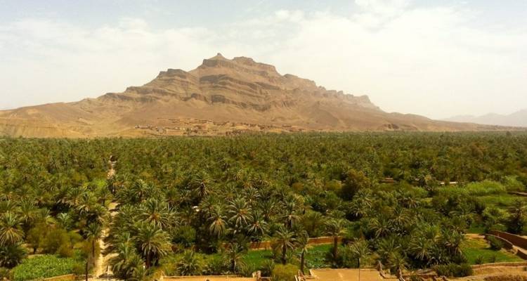 Oasis verdoyant avec un décor de montagnes.