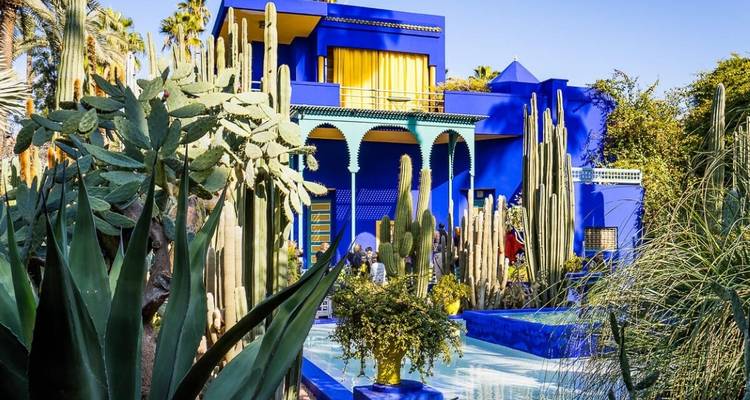 Structure bleue vibrante avec jardin de cactus et piscine.