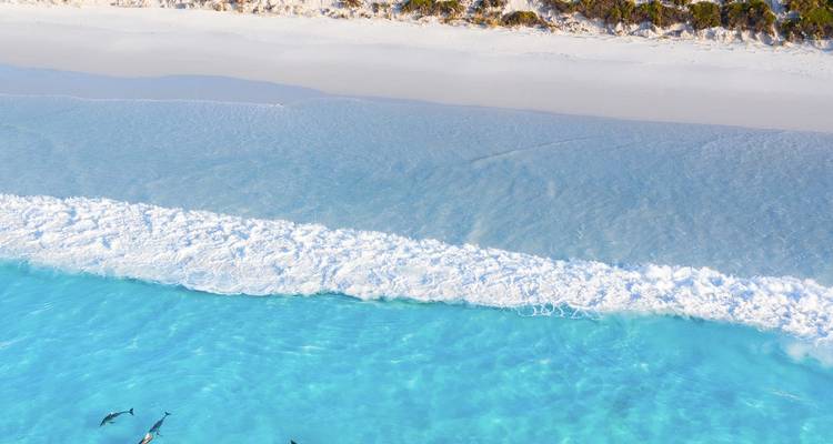 Luftaufnahme einer klaren Meereswelle, die das Ufer erreicht.