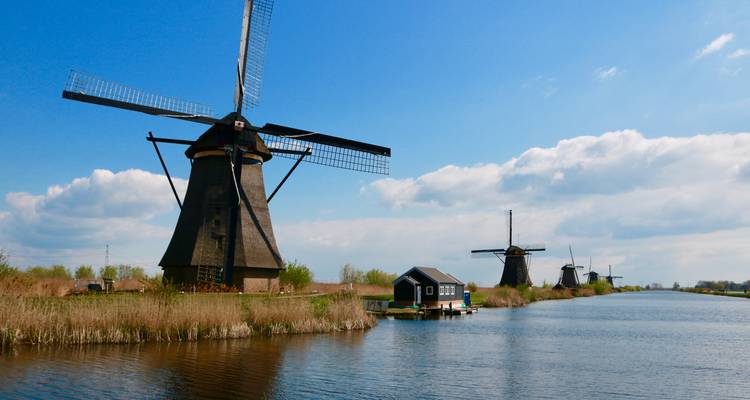 Canaux, Champagne et Culture : un voyage à travers les Pays-Bas, la Belgique et la France avec les jardins de tulipes de Keukenhof (d'Amsterdam à Paris) - Collette 3