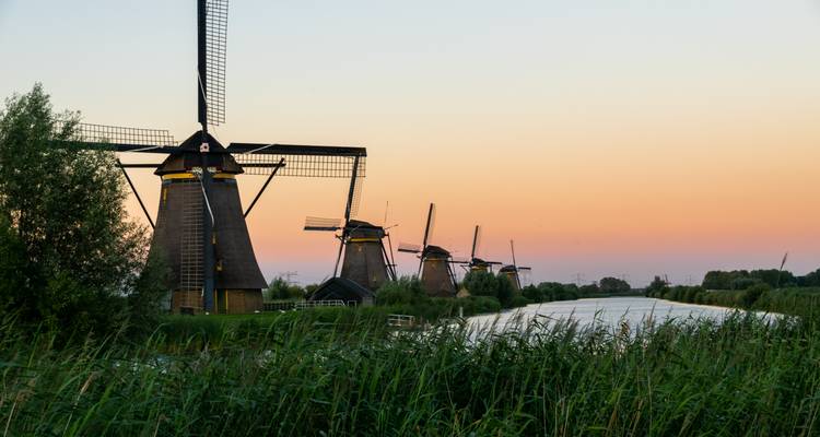 Canaux, Champagne et Culture : un voyage à travers les Pays-Bas, la Belgique et la France avec les jardins de tulipes de Keukenhof (d'Amsterdam à Paris) - Collette 2