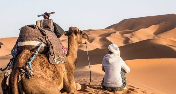 5D/4N Private Tour From Marrakesh to Fez - Omega Tour 1