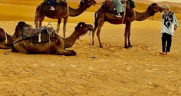 Circuito Privado de 10 Días de Tánger a Marrakech por Fez y el desierto del Sahara - Get Marrakech 9