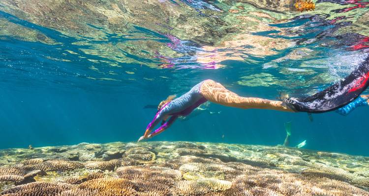 Ningaloo Reef (Exmouth) 6-day Tour - WA NT TOURS 3