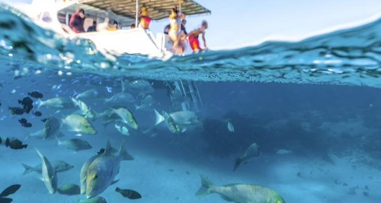 Ningaloo Reef (Exmouth) 6-day Tour - WA NT TOURS 8