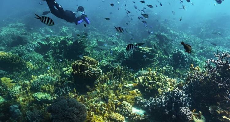 Ningaloo Reef (Exmouth) 6-day Tour - WA NT TOURS 9