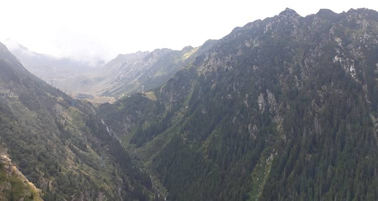 Thrilling Transylvania Adventure: Discover Dracula's Castles & Fortresses, Encounter Wild Brown Bears on the Top Gear Transfagarasan Road - Business Trans Protocol 6