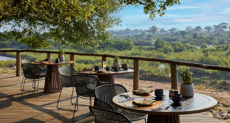De la Montagne de la Table aux Big Five : Une escapade parfaite en Afrique du Sud - T.S TOURS 2