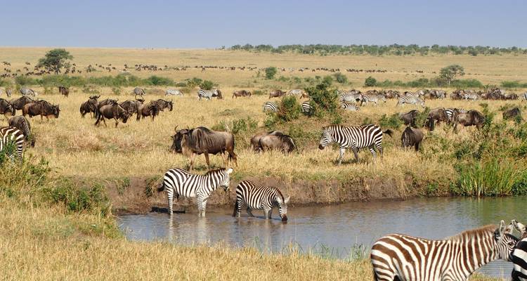 Cataratas Victoria y Descubrimiento de Kenia - Scenic Luxury Cruises & Tours 9