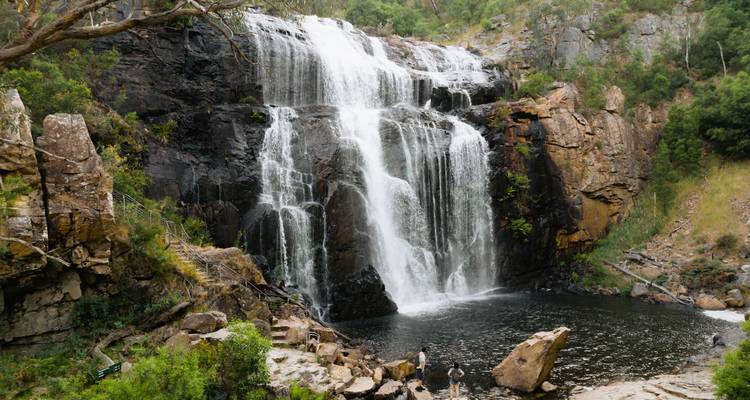 La grande route de l'océan et escapade de nuit dans les Grampians - 2 jours (avec hébergement) - Autopia Tours 4