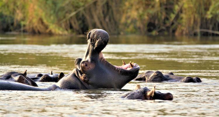 14 Tage Naturwunder Namibia, Botswana und Simbabwe - Oasis Travel 7