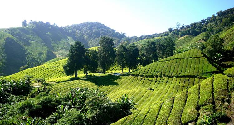 14 days Peninsula Malaysia: West Coast Experience - Oasis Travel 2