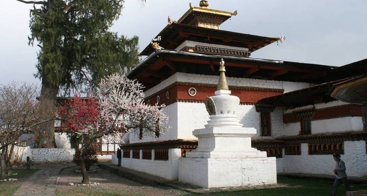 16 días India - Bután - Nepal: Taj Mahal-monasterios de montaña-templos del Himalaya - Oasis Travel 4