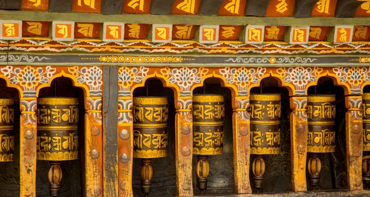 16 días India - Bután - Nepal: Taj Mahal-monasterios de montaña-templos del Himalaya - Oasis Travel 8
