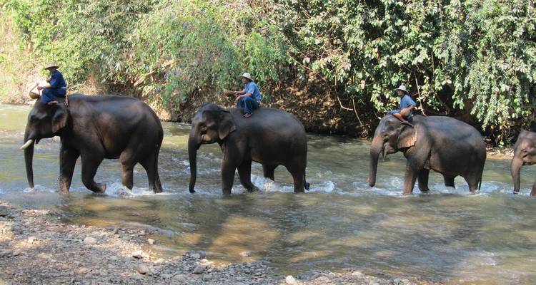 16 jours Thaïlande Classique & Baignade - Oasis Travel 7