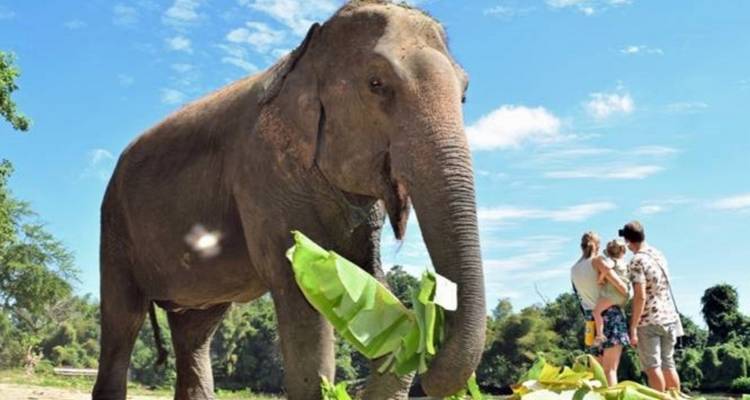 Une Thaïlande en mode détente pour les seniors (11 jours) (guide et chauffeur privés) - UME Travel Co. Ltd 8