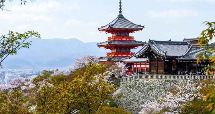Le meilleur de la Corée du Sud et du Japon - 10 jours - Tourist Journey 8