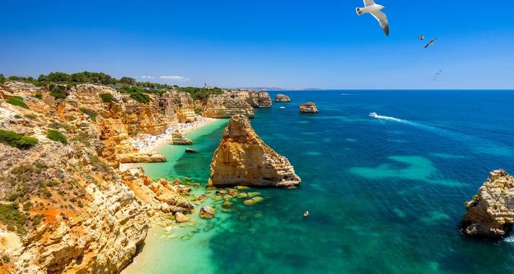 Falaises et eau turquoise avec des mouettes qui volent au-dessus.
