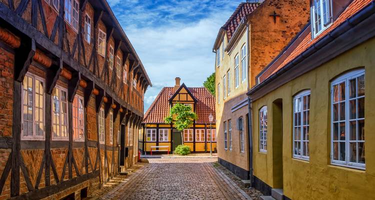 Charmante geplaveide steeg geflankeerd door kleurrijke vakwerkhuizen en okerkleurige huizen onder een heldere hemel in Denemarken.