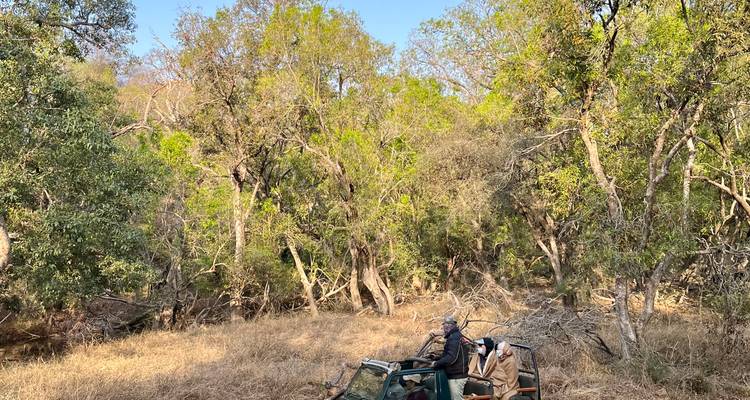 Safari de lujo con Taj y leopardos - BeMetravels  4