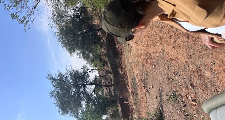 Safaritoerist in jeep die wilde dieren in de verte spot over droog struikgewas landschap.