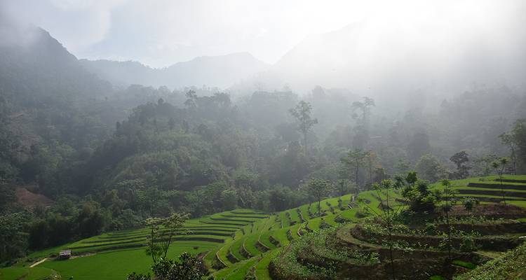 Le meilleur du Vietnam - Intrepid Travel 6