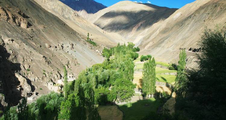 Adventure Ladakh: on foot over high passes and through green valleys - DIAMIR Erlebnisreisen 2