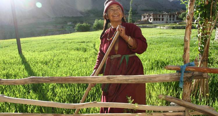 Adventure Ladakh: on foot over high passes and through green valleys - DIAMIR Erlebnisreisen 4