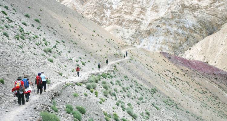 Adventure Ladakh: on foot over high passes and through green valleys - DIAMIR Erlebnisreisen 9