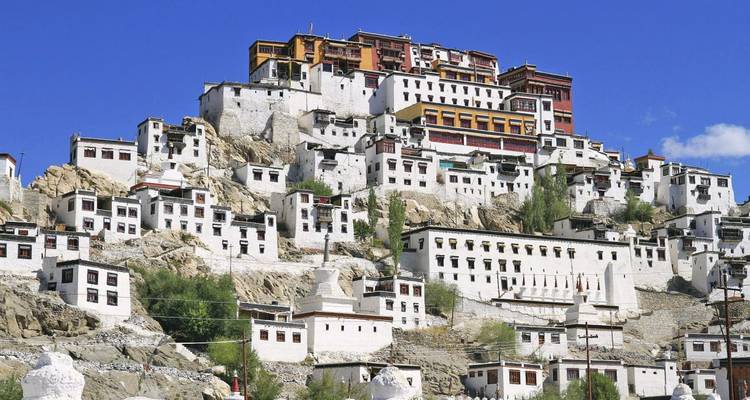 Adventure Ladakh: on foot over high passes and through green valleys - DIAMIR Erlebnisreisen 10