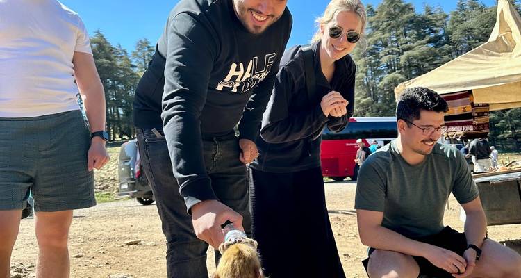 Personas interactuando al aire libre con árboles de fondo.
