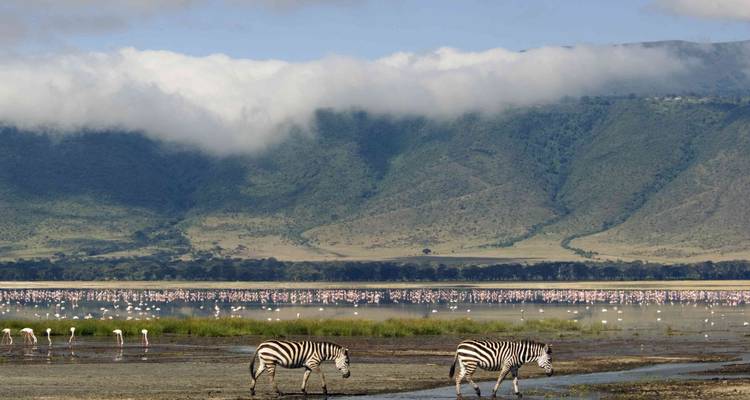 Safari de 3 días por el extraordinario Serengeti y el Ngorongoro - Professional Safari Africa 2