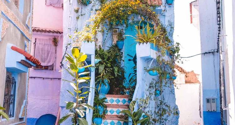 Façade de maison colorée et décorée avec des plantes.