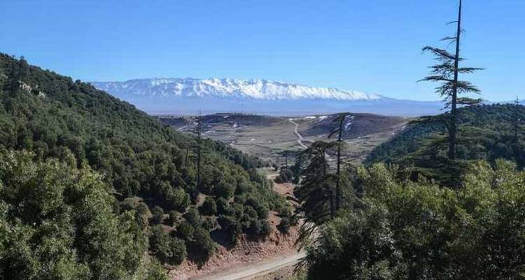 Excursion privée d'une journée de Fès au Moyen Atlas - Omega Tour 2