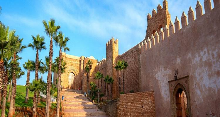 Mur et porte historiques bordés de palmiers sous un ciel bleu.