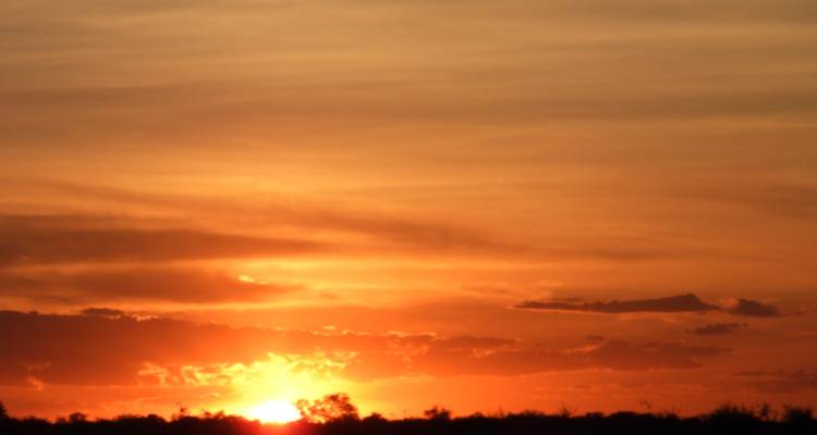 8 Días Paraguay y Brasil: Chaco y Pantanal - Responsible Travel South America 3