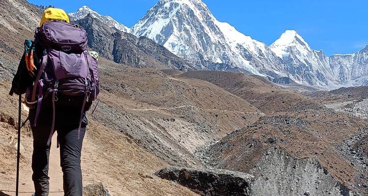 Wandelaar die naar besneeuwde bergen loopt.
