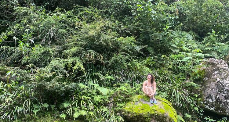 Una persona sentada en una roca cubierta de musgo rodeada de denso follaje de la selva.