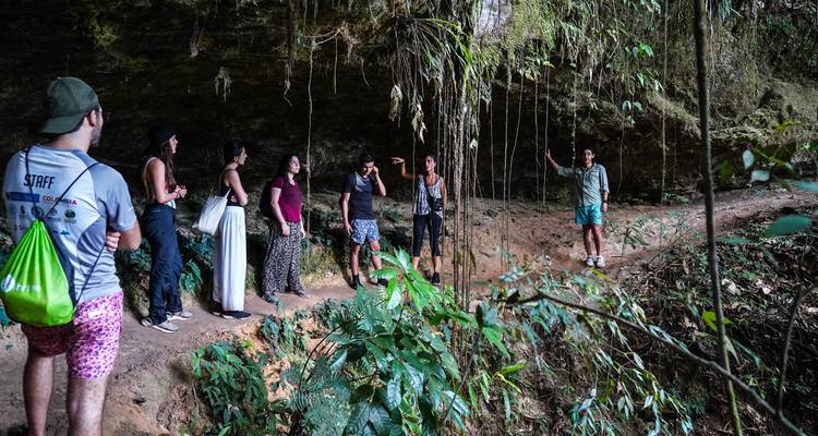 Grupo de personas explorando un entorno similar a una cueva rodeado de follaje.
