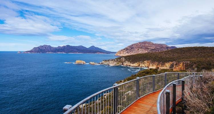 Tasmania Discovery Nature Tour - Australia and New Zealand Travel Company 2