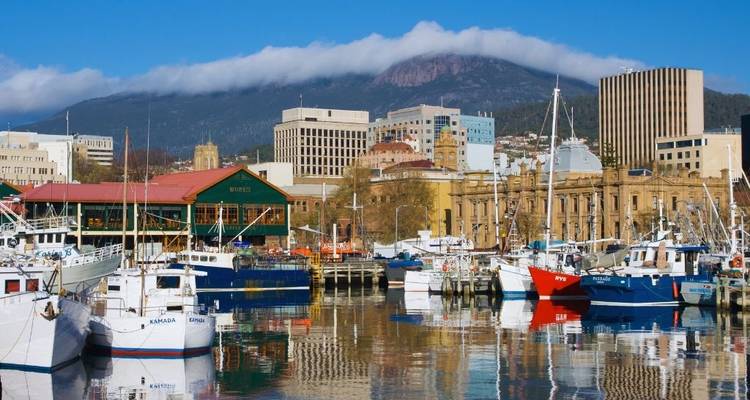 Tasmania Discovery Nature Tour - Australia and New Zealand Travel Company 7