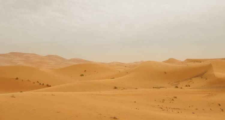 9 Days Tour From Casablanca to Marrakech via the Sahara desert (Group) - Imago Travel 3
