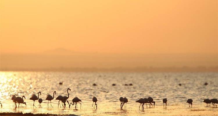 3-Day Tarangire Ngorongoro, Manyara Safari from Zanzibar - Professional Safari Africa 7