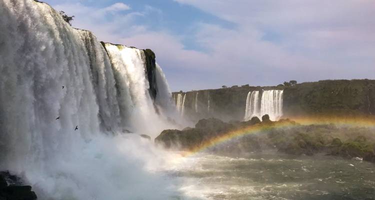 Buenos Aires et évasion dans la jungle : Ibera, chutes d'Iguazú et faune locale - Mater Sustentable 9