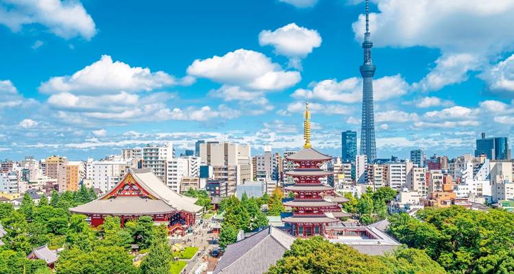 Skyline view of Tokyo with a tower and historic pagodas