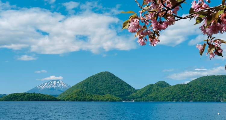 Nature et culture du Japon (programme terrestre uniquement) - MEIERS WELTREISEN 1