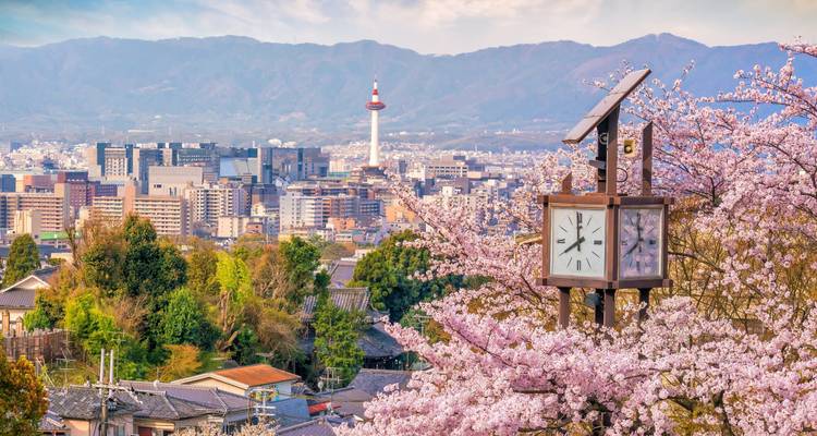 Stadtansicht mit Kirschblüten und einem traditionellen Turm.