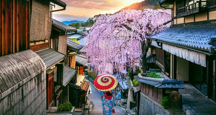 Straße mit traditionellen Holzgebäuden und Kirschblüten.