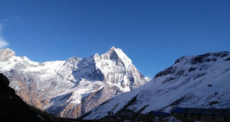 Excursión al Campamento Base del Annapurna vía Ghorepani Poon Hill (Pokhara a Pokhara) - White Hill Adventure Treks and Expedition Pvt Ltd 2