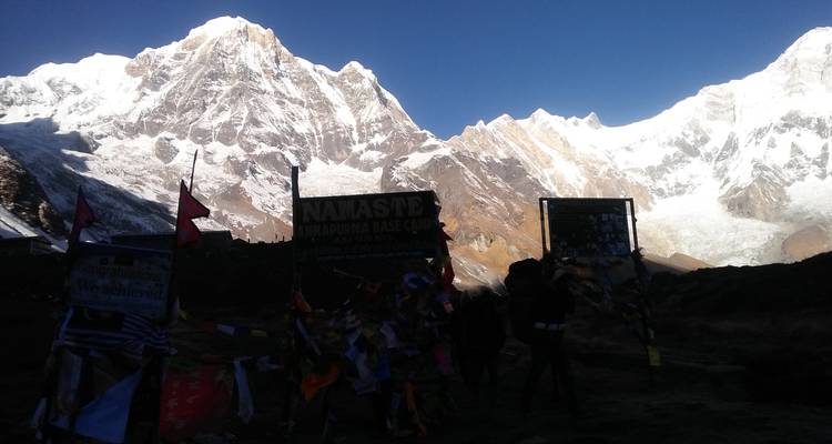 Excursión al Campamento Base del Annapurna vía Ghorepani Poon Hill (Pokhara a Pokhara) - White Hill Adventure Treks and Expedition Pvt Ltd 4